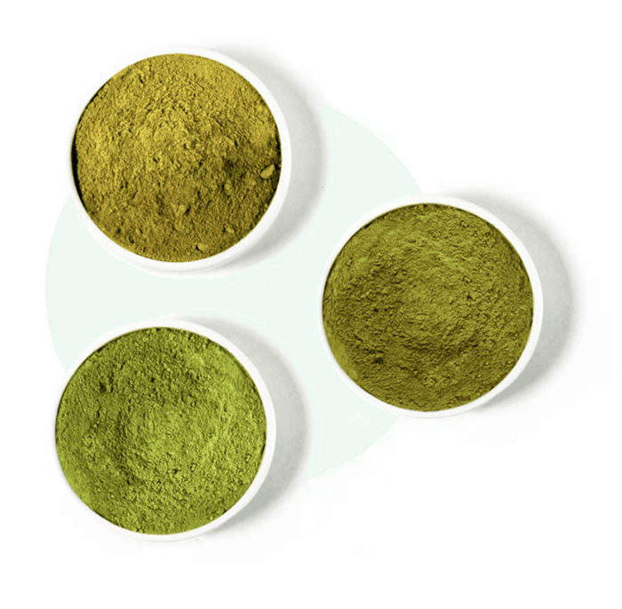 Trzy różne rodzaje kratomu w miseczkach